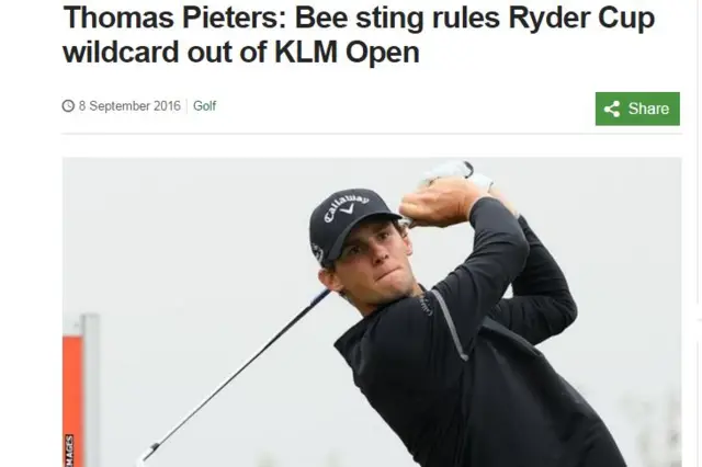 Thomas Pieters story about a bee sting on the BBC website