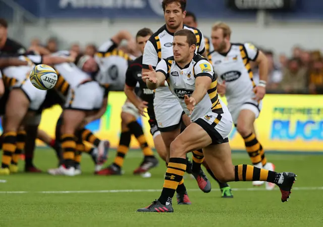 Wasps rugby
