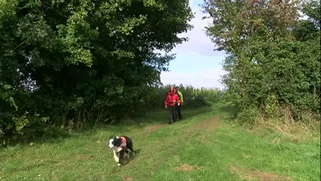 Sniffer dog with search team