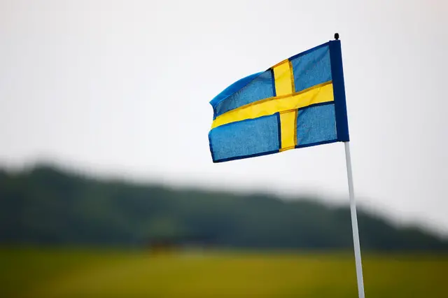 Swedish flag