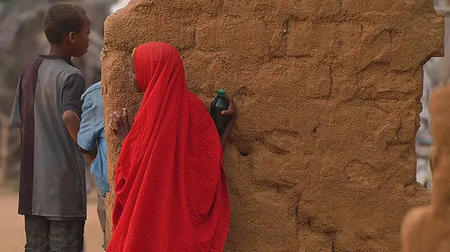 girl in a veil behind a wall