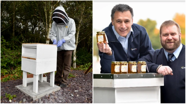 Beekeepers and honey