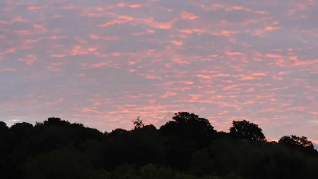 Cloud over Holbrook this morning at 07:30 BST