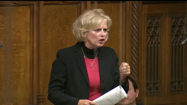 Anna Soubry