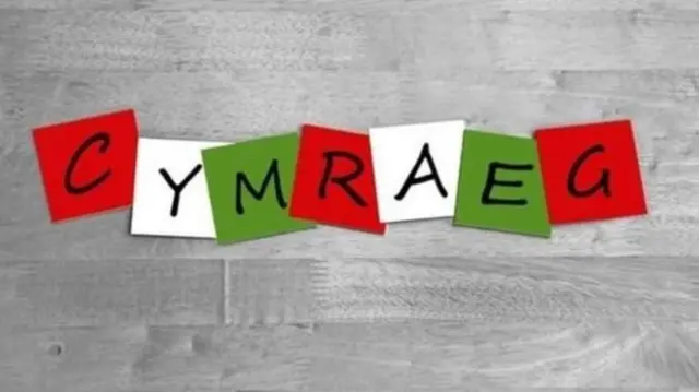 Welsh Language