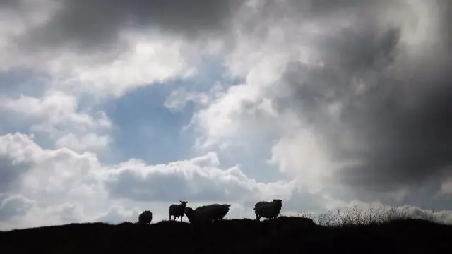 Clouds and horizon