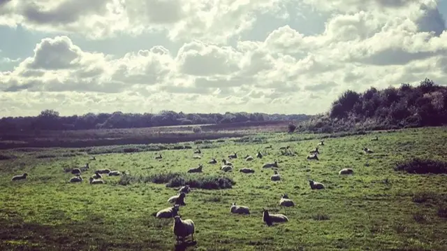 Norbury, Staffordshire