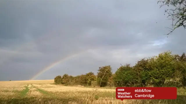 Rainbow in a field