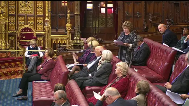 Baroness Andrews speaks to the Lords