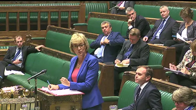 Environment Secretary Andrea Leadsom