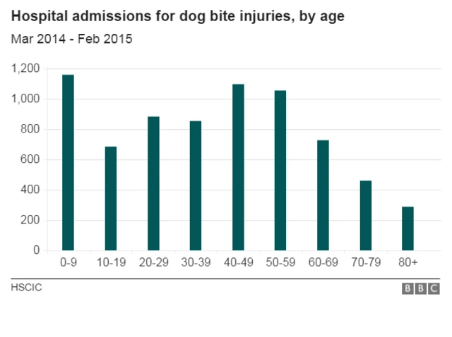 Dog bite chart