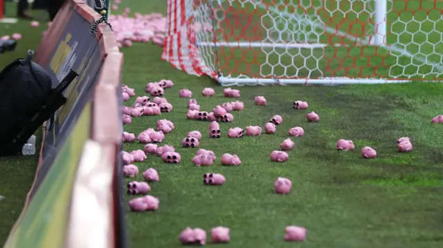 Plastic pigs on the Charlton Athletic pitch