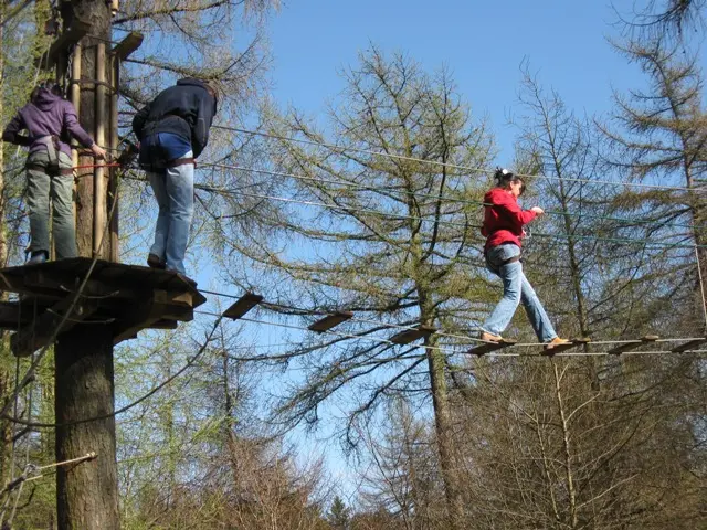 Go Ape