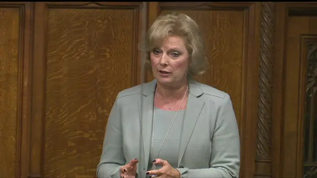 Anna Soubry