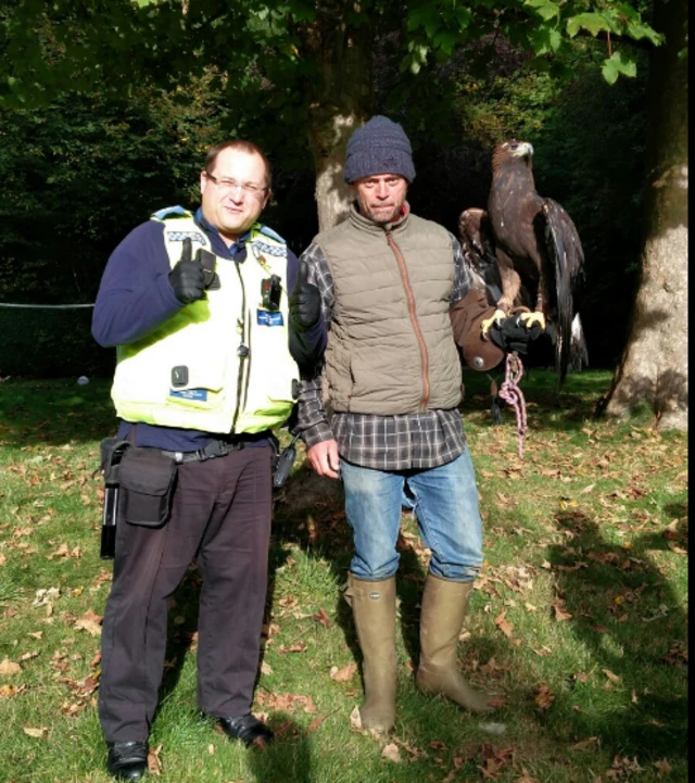 Golden eagle rescued from tree