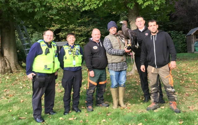 Golden eagle rescue operation