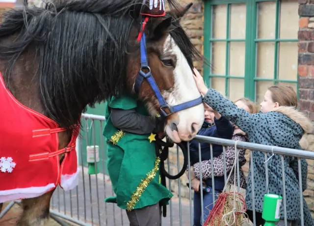 Big Lad the shire horse