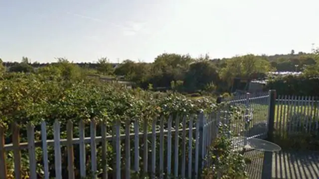 Farm Terrace allotments