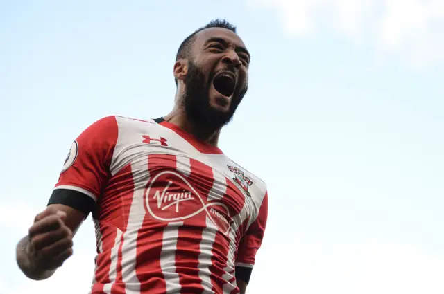 Nathan Redmond celebrates