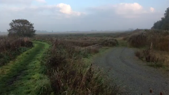 Carlton Marshes