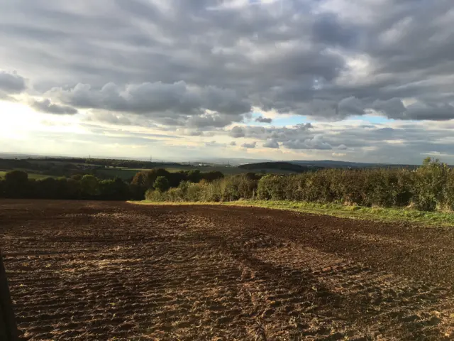 Ploughed field