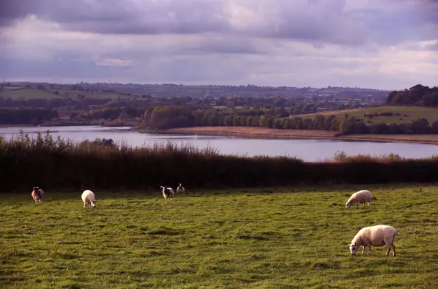 Rutland Water