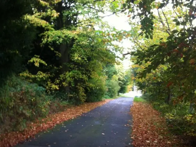 Path edges with leaves