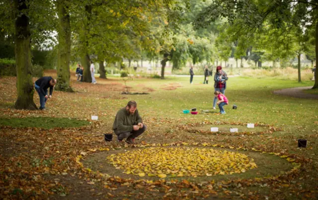 Circle created out of leaves