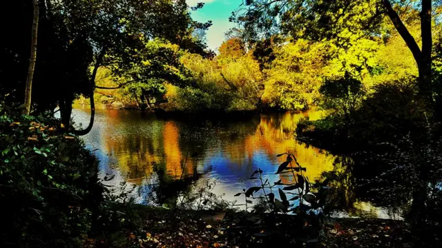 Longton Park, Stoke-on-Trent