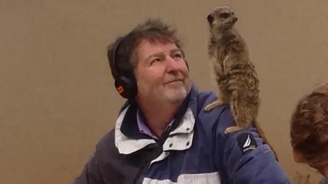 James and meerkat