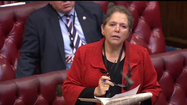 Baroness Kramer