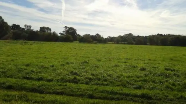 The green land off Audlem Road