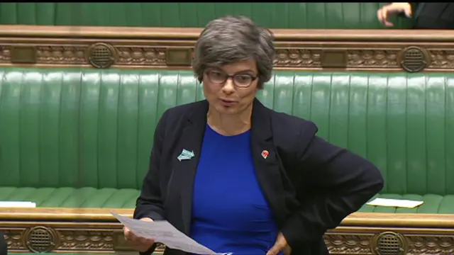 Thangam Debbonaire