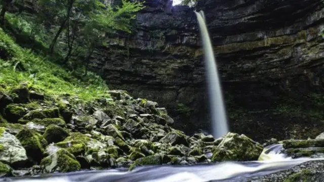 Hardraw Force