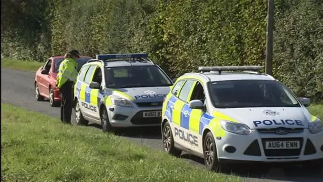 Police vehicles and standing police officer, on road near crash site