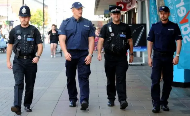 The presence of Polish officers was "about reassurance in all communities", Essex Police said