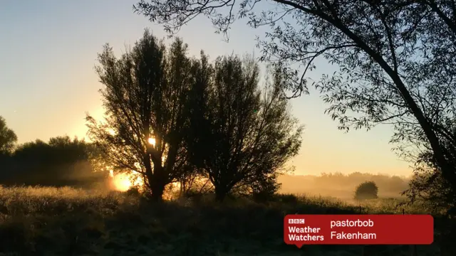 Early morning sun, with trees silhouetted against low lying mist