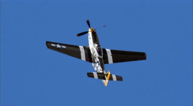 Mustang in flight, against blue skies at Old Buckenham