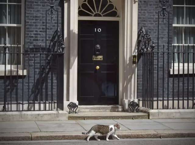 Larry the cat outside Number 10 Downing Street