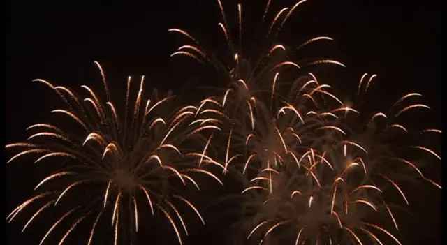 Diwali fireworks in Leicester