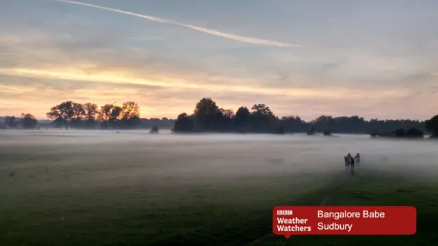 Sudbury misty field