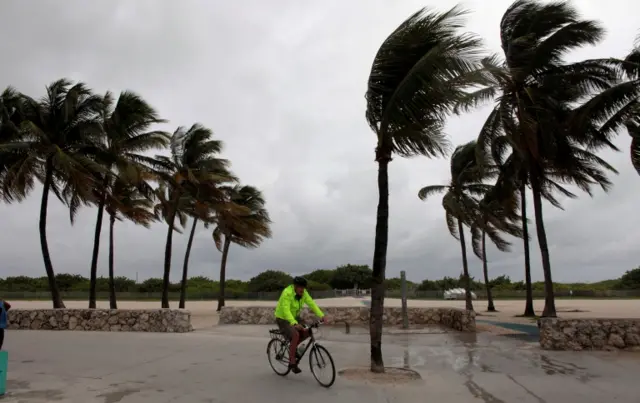 A man on Miami Beach as trees blow in the wind