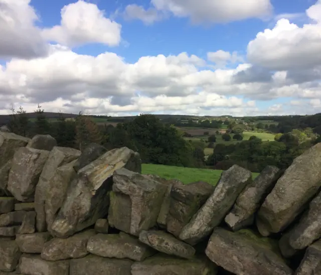 View at Totley