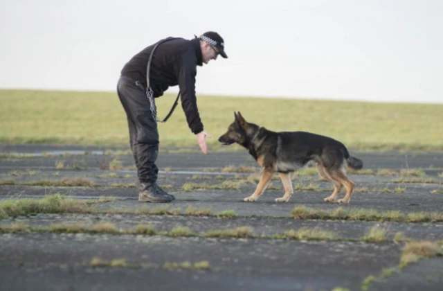 Police dog Finn and his handler, PC David Wardell