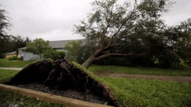 A fallen tree near a house in Daytona Beach, Florida