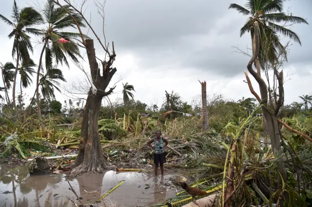 A woman stands in a field of destroyed trees after the passing of Hurricane Matthew, in Sous Roche in Les Cayes, in South-west Haiti