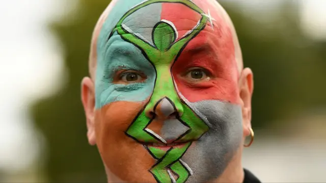 Harlequins' fan