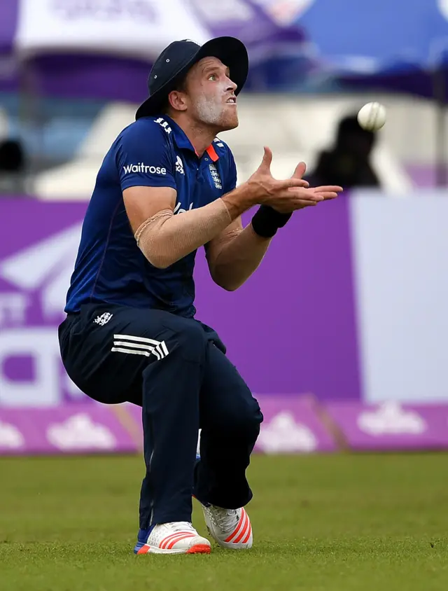 David Willey