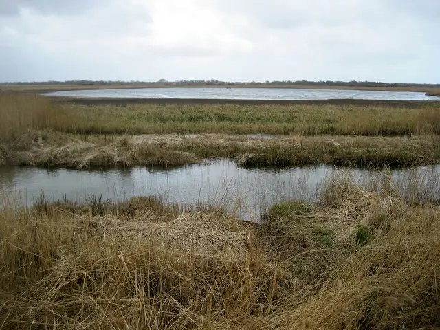 Hickling Broad