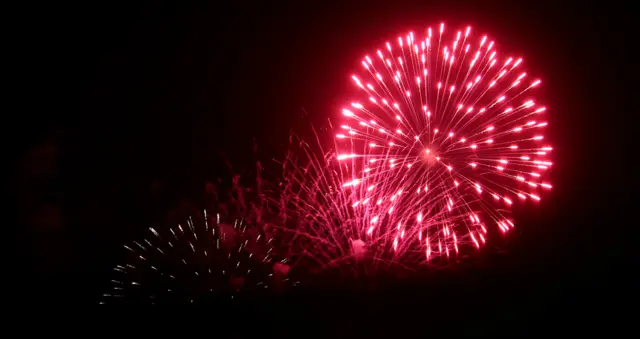 firework against night sky